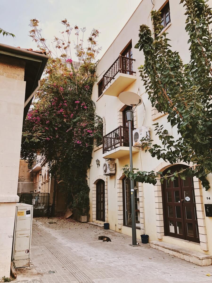 street in limassol cyprus