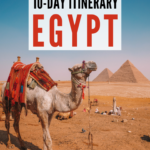 camel in egypt | egypt itinerary