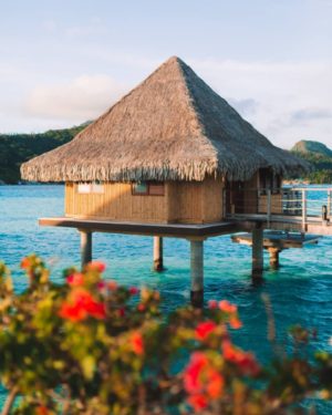 overwater bungalow in bora bora at the intercontinental bora bora le moana resort with reddish pink flowers framing the bottom of the photo