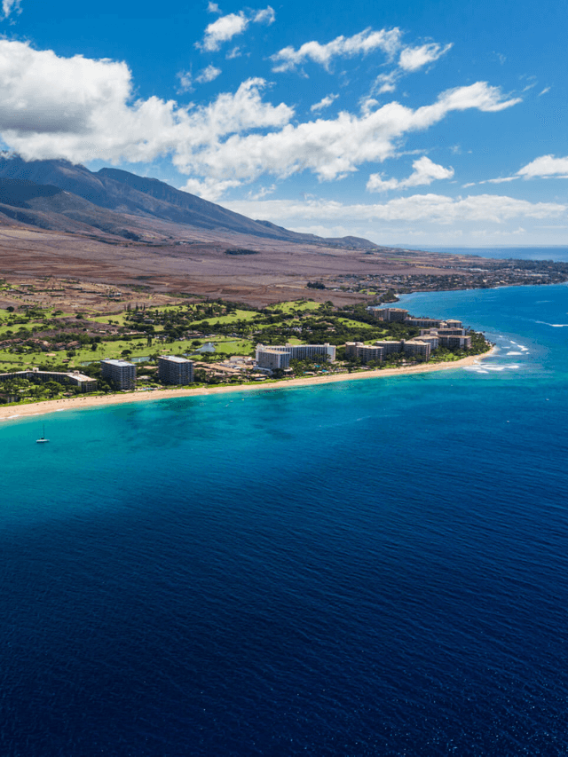 aerial drone image over the beach on a sunny day in maui hawaii