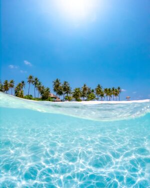 clear blue water with view of under the water and above the water with lots of palm trees bora bora vs maldives