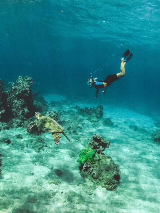 10 Can’t Miss Things to Do in Maui, Hawaii