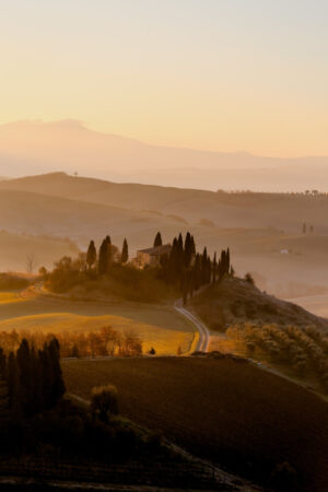 soft orange light sweeping over tuscany hills surrounded by trees