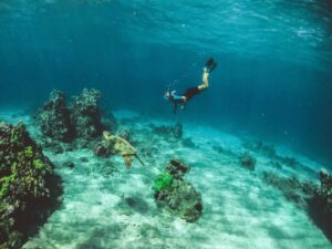 woman snorkeling underwater with sea turtle