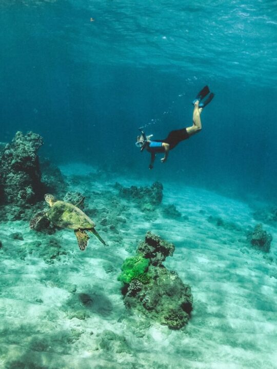 woman snorkeling underwater with sea turtle