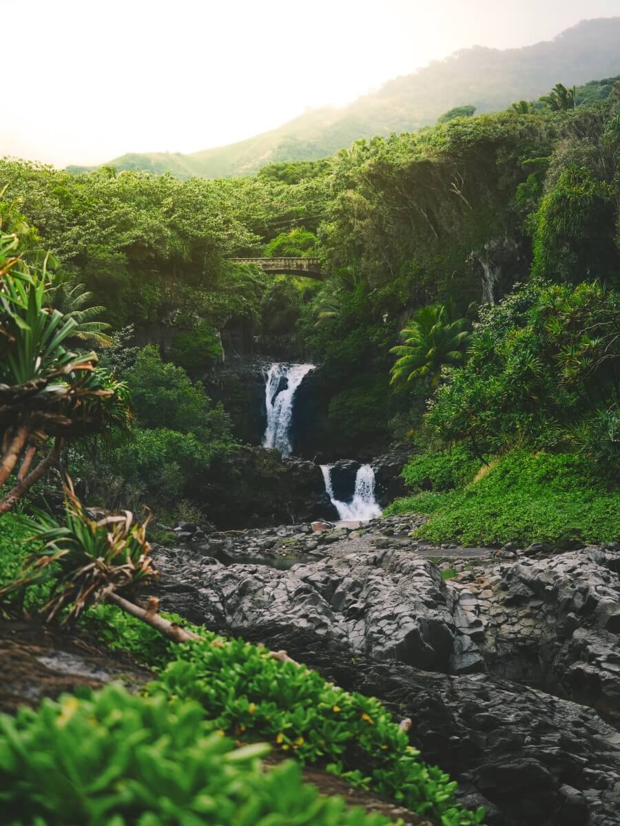 two cascading waterfalls in the distance surrounded by greenery