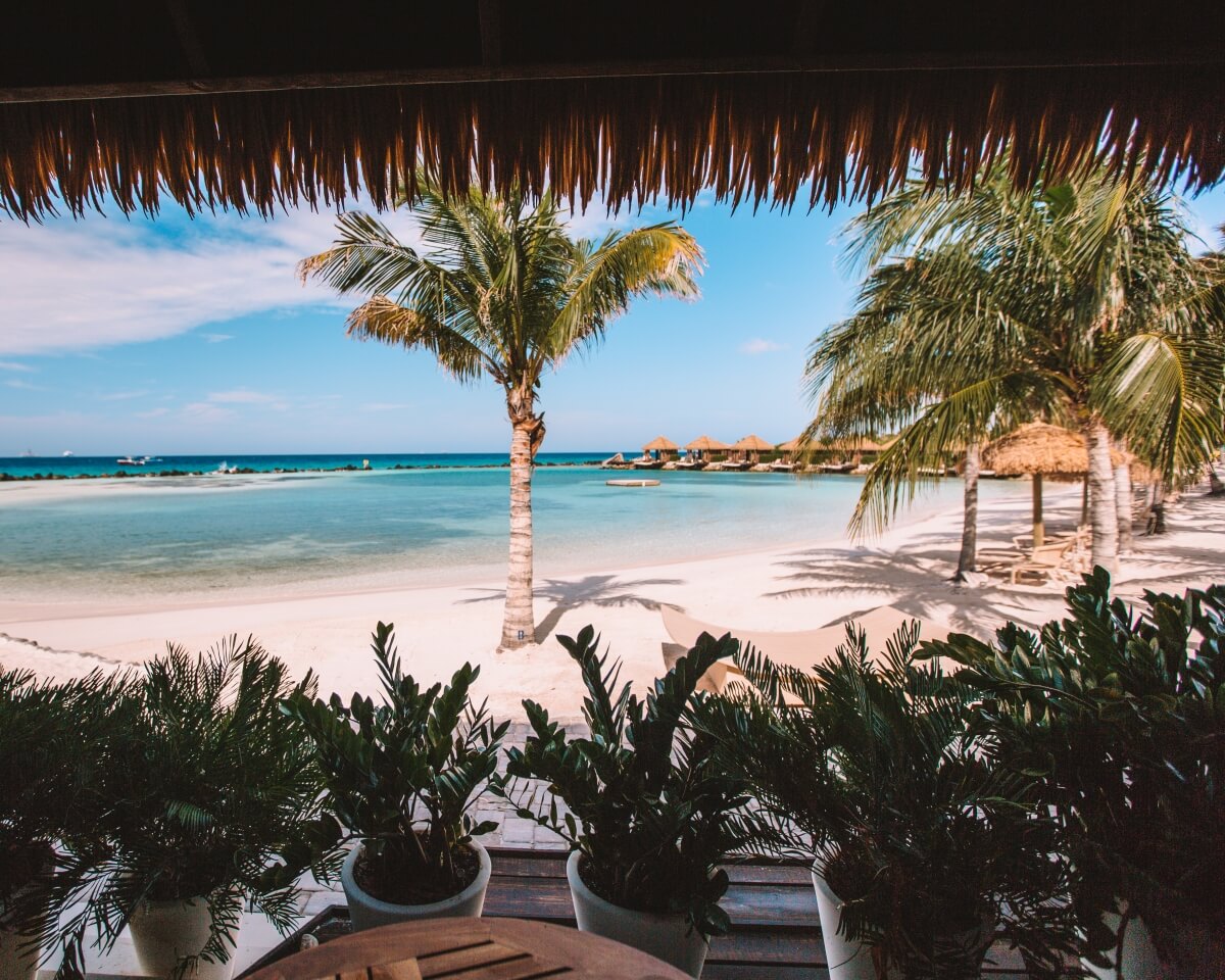 view of beach and palm trees from restaurant at renaissance private island day pass aruba