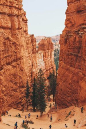 overlook of hiking trail surrounded by orange hoodoos in bryce canyon national park