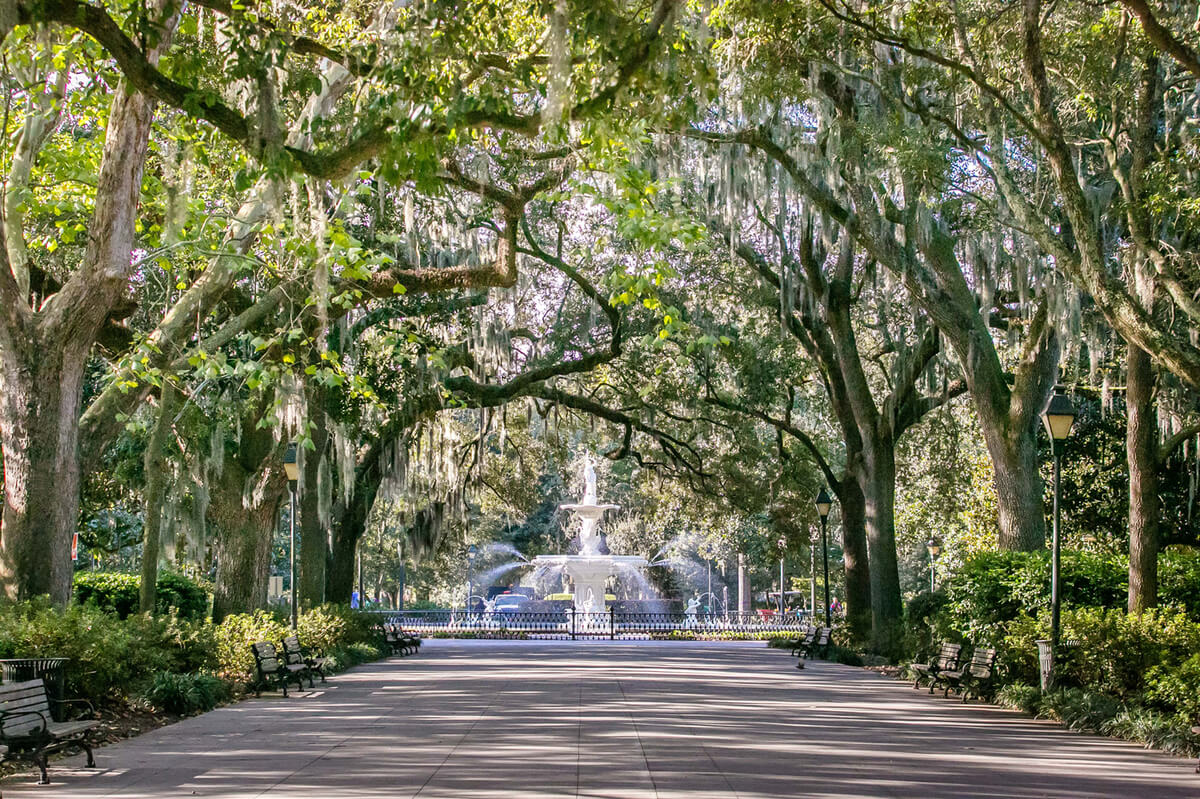 Forsyth Park in Savannah georgia with lots of trees covering a cement path leading to a beautiful ornate fountain