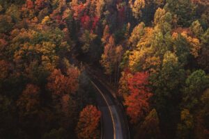 aerial photo of road near smoky mountains national park during the fall with multi-colored trees of reds, oranges, yellows, and greens