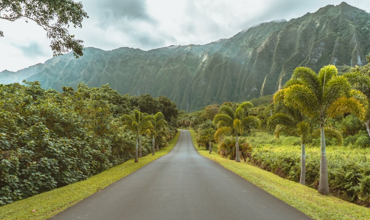 long road with palm trees lining both sides and huge green mountain in the backdrop 5 days in Oahu