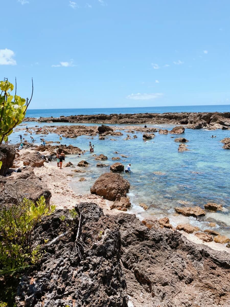 shark's cove snorkeling area on the north shore of oahu, perfect for snorkeling on an oahu itinerary