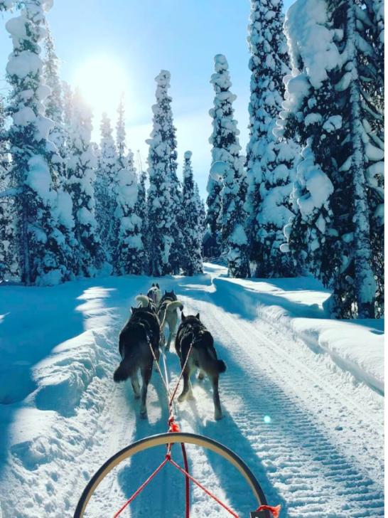 10 Best Honeymoon Destinations in December-Cover image