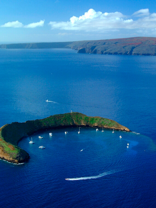 5 Days in a Tropical Hawaiian Paradise-Cover image