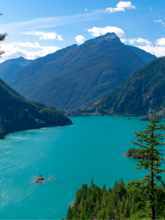 An Epic List of the Best Road Trips in the USA-Cover image