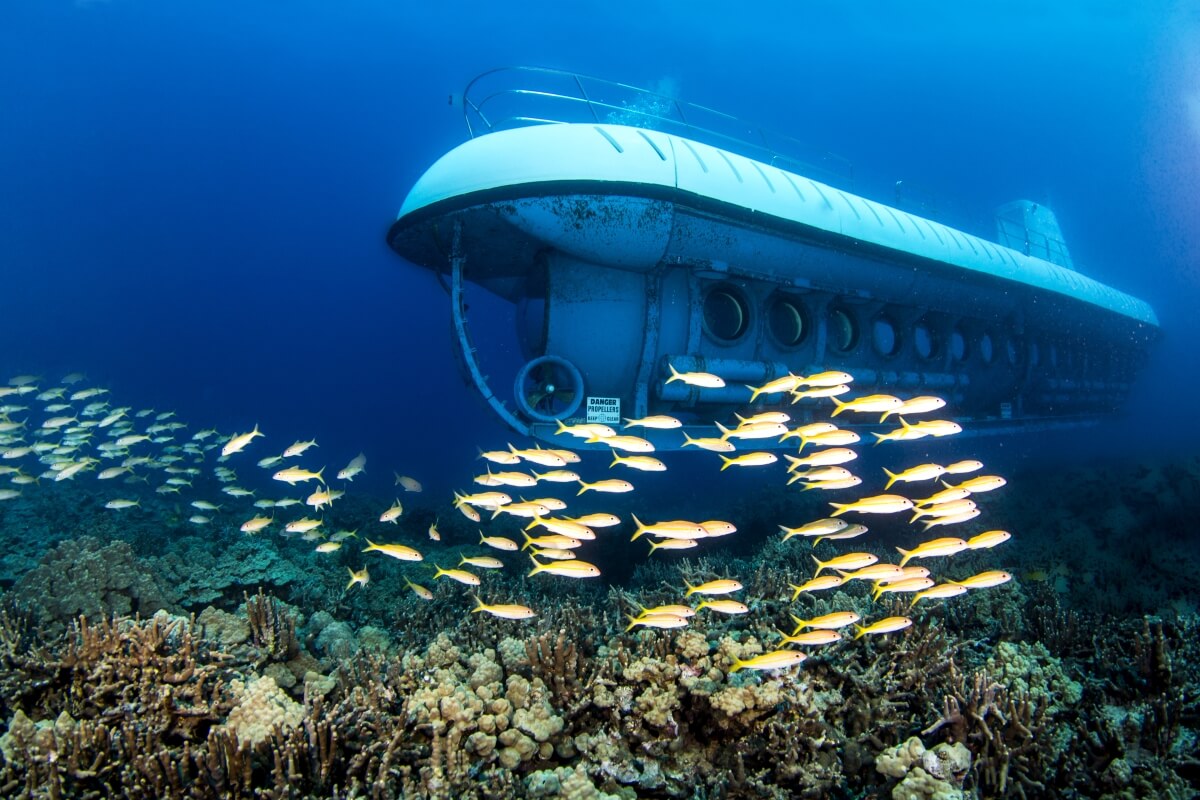a coral reef and lots of fish swimming in front of a submarine in the ocean, best things to do big island hawaii
