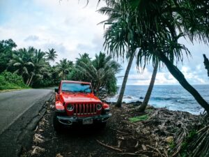 red jeep sitting amongst brush and palm trees on the side of the road next to the ocean in hawaii