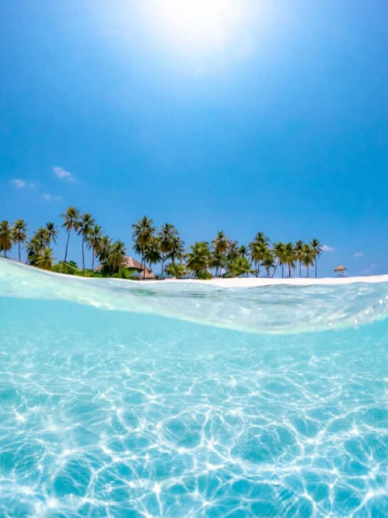 Bora Bora Vs. The Maldives_Cover image