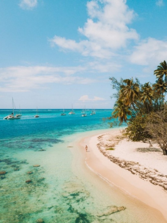 Bora Bora vs. Moorea-Cover image