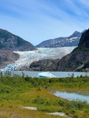 photo of the mendenhall glacier in Juneau Alaska, surrounded by mountains on either side, the Mendenhall lake in the front, and a grassy landscape at the forefront of the image