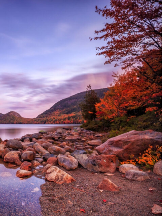 The Best National Parks to Visit During the Fall-Cover image