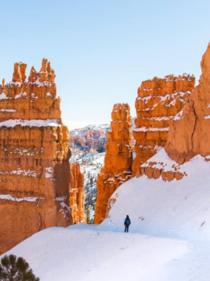 National Parks to Visit During Winter In United States-Cover image