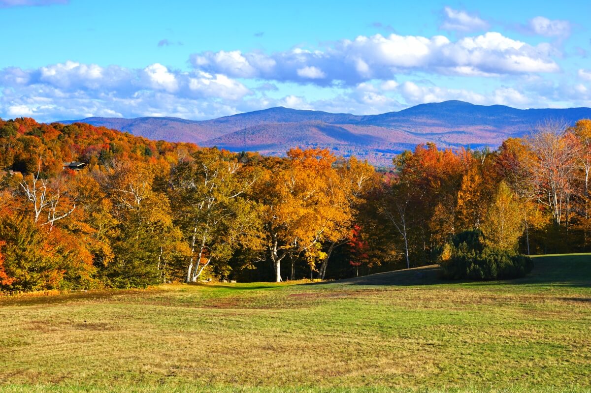 trees with red, orange, yellow, and green leaves in front of colorful mountain backdrop on a blue sky sunny day in vermont