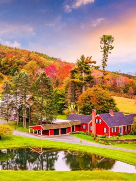 15 Things to Do in Stowe in the Fall-Cover image