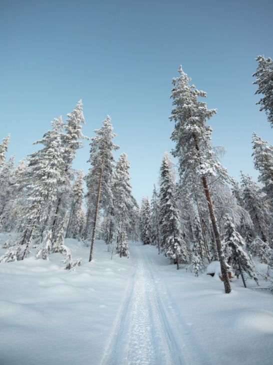 December Honeymoon Destinations-Cover image