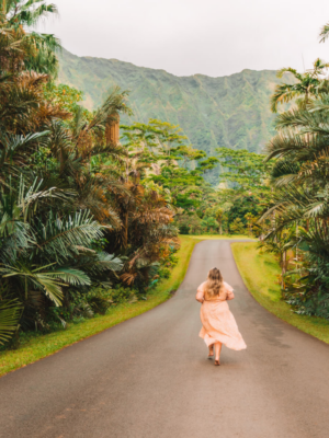 15 Things to Do in Oahu-Cover image