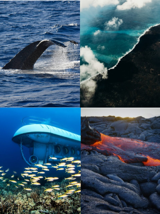 15 Best Things to Do on the Big Island of Hawaii-Cover image