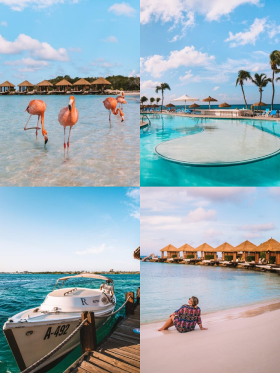 Flamingo Beach Aruba How to Get a Day Pass-Cover image