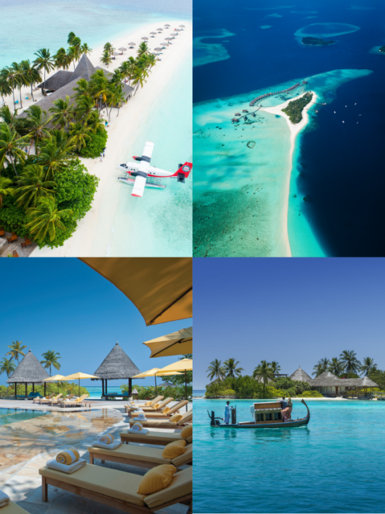 The Best Resorts in the Maldives for Honeymoons-Cover image