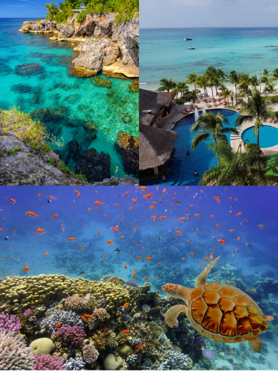 Islands To Visit In The Caribbean During The Fall-Cover image