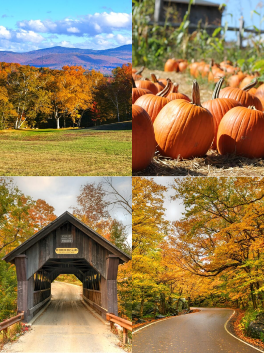15 Things to Do in Stowe in the Fall-Cover image